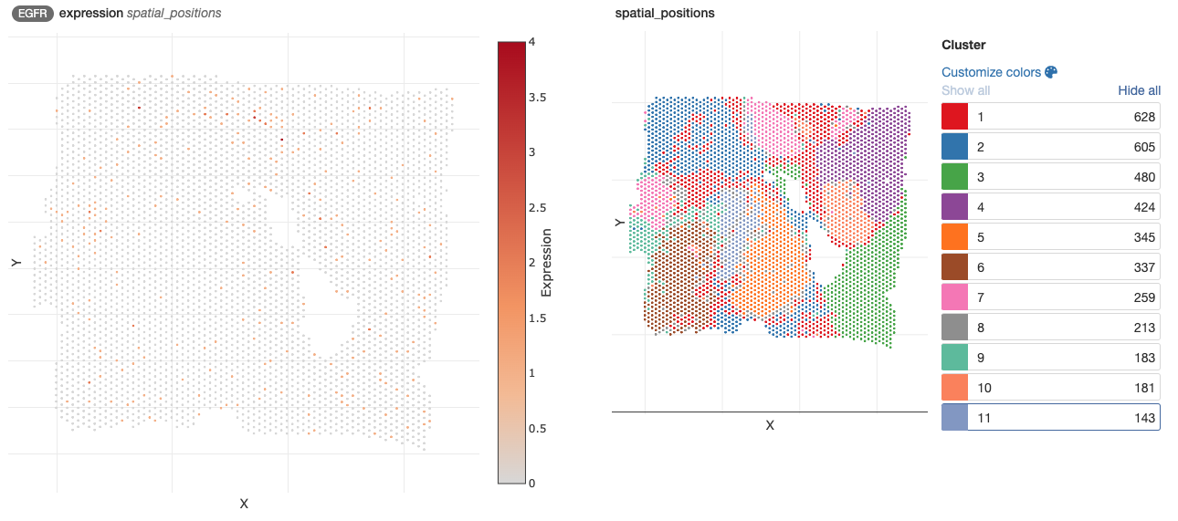 visium_demo_spatial_egfr.png