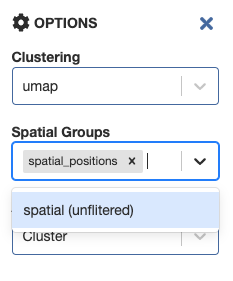 spatial_groups.png