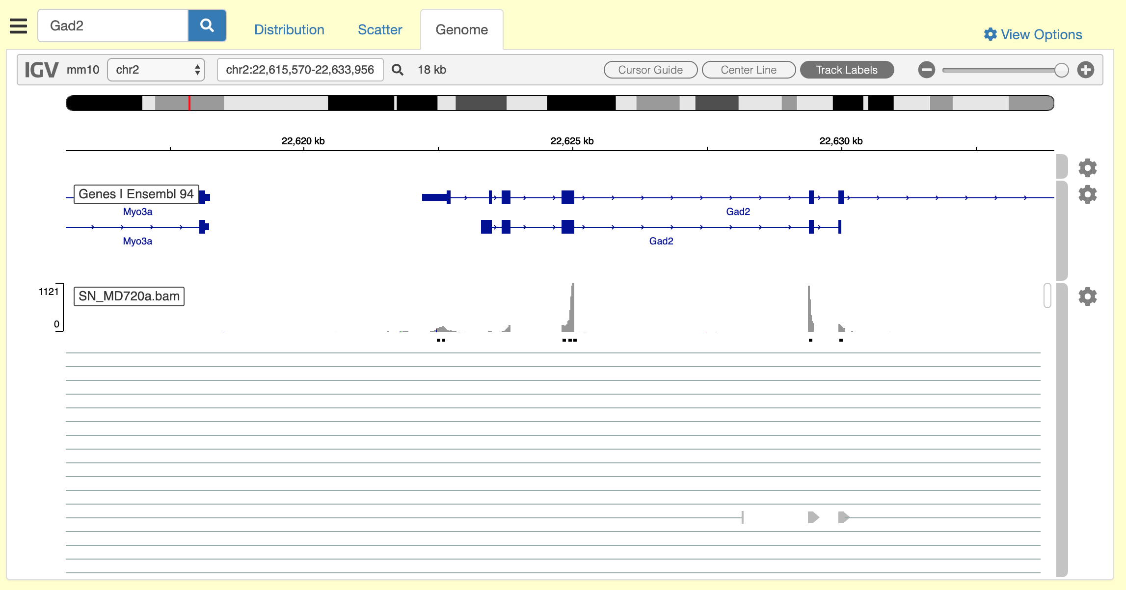 genome-browser.png