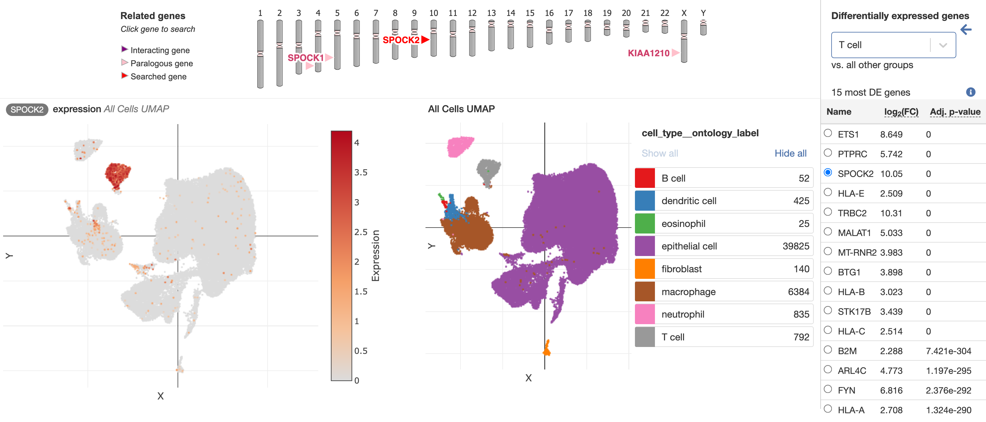 Exploratory differential gene expression analysis – Single Cell Portal